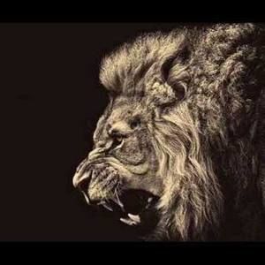 Meet your Posher, Bobby